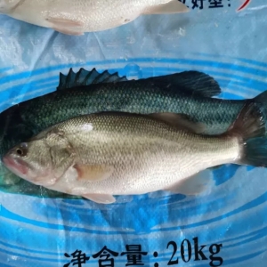 ��ߝq2.2Ԫ/����㡢�������f�~���S���ӣ��^�m���q | �ܴ�����ؼs