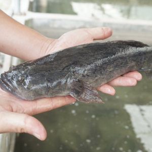 �֝q1Ԫ���S���~���±��q����ˮ�a��ġ����R��