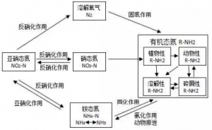 ˮ�a�Bֳ�I�С��Bˮ���Č��|������ʲô��