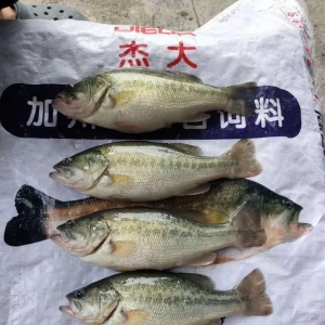 ���cβ���V�|���~�p���������У��r���Ե���|�ܴ�����ؼs