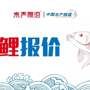 �p���^�����~�r�����е�������������