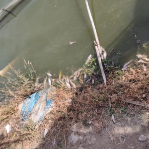 ���裡׷�L��Ͷι�^���ԉ��cθ���ˆ��}��׷��Ī����