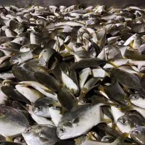 �������������K�~�q�r(ji��)�b�b�o(w��)�ڣ�| 2020��12��21�ս��K�~�r(ji��)������