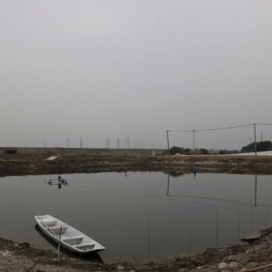 ������Ű�ɏV��һ�󲨸߃r�~����������