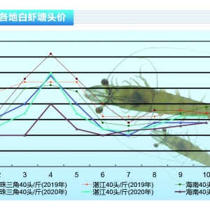 ���r������D�������Y�����Bֳ����ϣ�����������ˮ�aǰ�ء�2020��11�¿��Ј�څ��