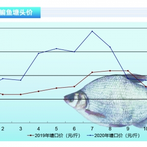 ���~���¿����~���t���У��~�r�����Ƹߡ�����ˮ�aǰ�ء�2020��10�¿��Ј�څ��