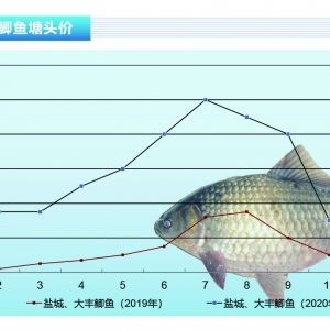 �a�~(y��)�����~(y��)�p�٣�12�����鷀(w��n)������������ˮ�a(ch��n)ǰ�ء�2021��1�¿��Ј�(ch��ng)څ��(sh��)