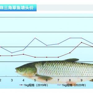 ���~��������c��������F(xi��n)���@�»�������ˮ�a(ch��n)ǰ�ء�2020��11�¿��Ј�څ��