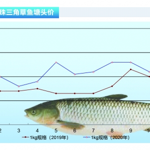 ���~�����Mƣܛ�����w���鲻���^������ˮ�a(ch��n)ǰ�ء�2020��12�¿��Ј�څ��