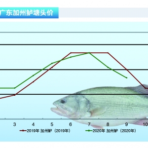 �����|���p�������^���~�r���@�»�������ˮ�aǰ�ء�2020��11�¿��Ј�څ��