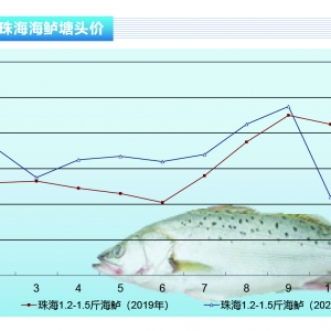 ���|���f�~�������������|�r��ȫ���ϝq������ˮ�aǰ�ء�2020��10�¿��Ј�څ��