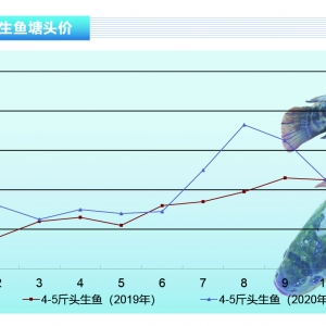 ���~�����~�Ј��𲽻�ů���~�r����������ˮ�aǰ�ء�2020��12�¿��Ј�څ��