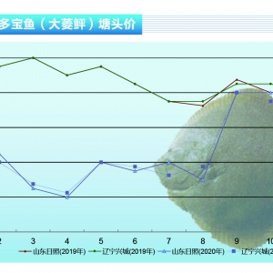 �����~���r(ji��)����m(x��)�ϝq���~���s��Ҏ(gu��)ģ���l(f��)������ˮ�a(ch��n)ǰ�ء�2020��12�¿��Ј�(ch��ng)څ��(sh��)