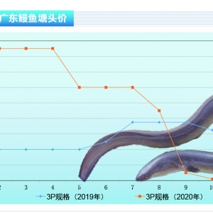 ���~���n�������r�񷀶��������Ј��r�����µ�������ˮ�aǰ�ء�2020��10�¿��Ј�څ��