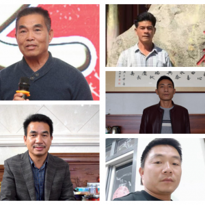 Ʒ�N��ģʽ�����Ƅӌ��r�Bֳ���D������