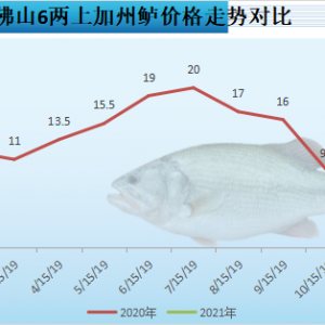 �ʂ���؛���ܷ������~�r���㽭�F(xi��n)�N����(w��n)�����V�|�|�M܊�A�| | �ܴ�����ؼs