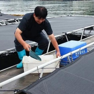 �@�N�~�u���ˣ���r���q3�ɣ�