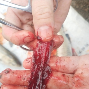 �������~�����pʧ����α����L�U��