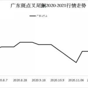 ţ�����M(f��i)�𱬣��t�~�_8����������