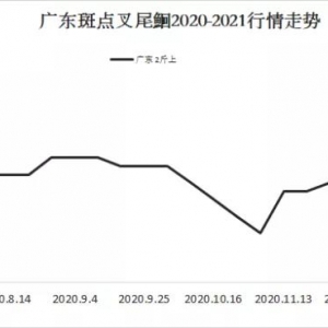 ȱ�~���t�~������ٻ���