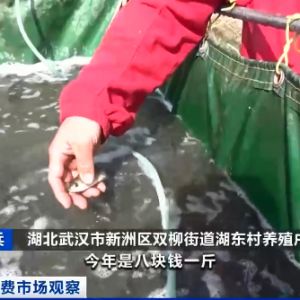 ���l�~������ԡ��q�r��5-6����¸�