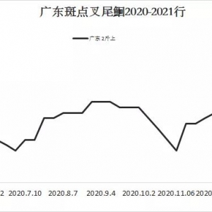 �t�~���Ϸ�������ϝq��Ҏ(gu��)���~ϡȱ��