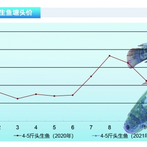 ���~���ӹ��S��ǰ��؛���~�r���ϝq��������ˮ�aǰ�ء�2021��2�¿��Ј�څ��