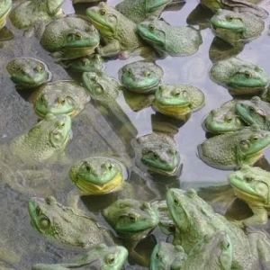 17.5Ԫ/��܃r߀Ҫ�^�m�q��