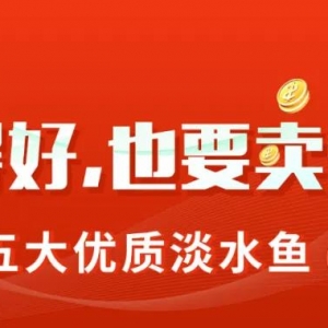 ��һ���ڎ����N���������|�q1.5Ԫ/��