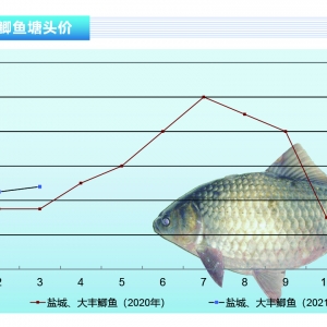 �a�~(y��)�����������ִ����l(f��)����������^�m(x��)��λ�\(y��n)�С�����ˮ�a(ch��n)ǰ�ء�2021��4�¿��Ј�(ch��ng)څ��(sh��)