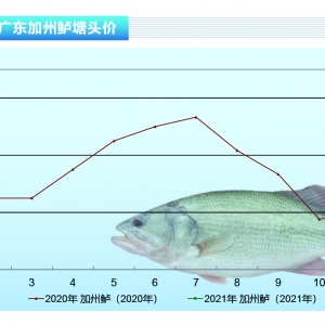 �����|�������Ҏ���~ˬ�У�Ԫ�������^�m�_��������ˮ�aǰ�ء�2021��3�¿��Ј�څ��