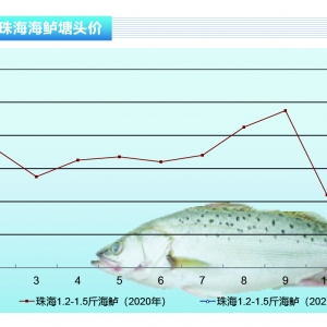 ���|���������������������g�r�񷀶�������ˮ�aǰ�ء�2021��3�¿��Ј�څ��