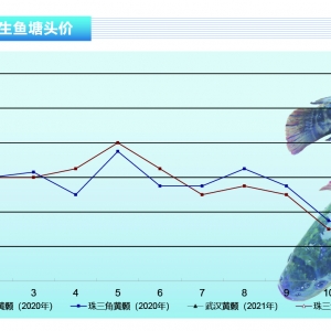 ���~���~�r�����ϝq���ӹ��S�ӳ����Ӄr�񡪡���ˮ�aǰ�ء�2021��3�¿��Ј�څ��