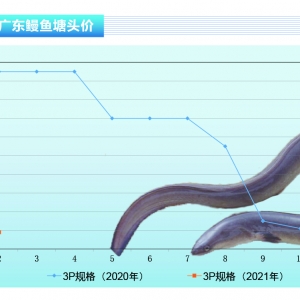 ���~������ձ����r���Ե����������r���ԝq������ˮ�aǰ�ء�2021��3�¿��Ј�څ��