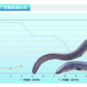 ���~������ձ������������r���ϝq������ˮ�aǰ�ء�2021��5�¿��Ј�څ��