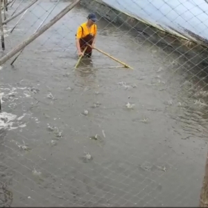 4������ٍ�˽�300�f��һ��С���ٍ3�fԪ��