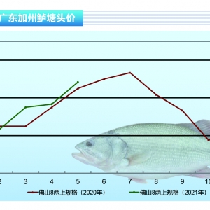 �����|���������m�½�������ȫ�����q������ˮ�aǰ�ء�2021��6�¿��Ј�څ��