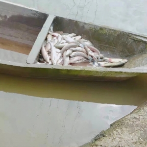 ��(sh��)�Ρ�����ʽ���µ����ֻ��ԡ����~�󣬲��~��ߝq1Ԫ��