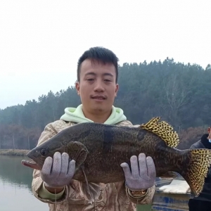 �Ј�(ch��ng)��(du��)�Z�~���N�O�ȿ�������(ji��n)�����x���ĵ�·