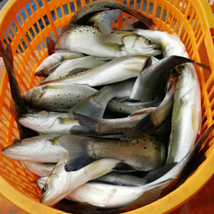 ����ͻ��13Ԫ/����|�_����3���ͬ����߃r