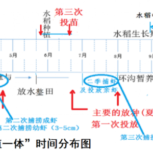 �\��С���r�a�I�еĎׂ��ش��}��һ��