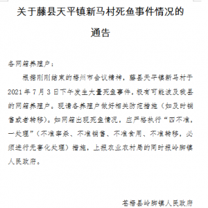 ���ݾW(w��ng)���B(y��ng)�~�B�m(x��)4�걩�����������~�ֶѳ�ɽ