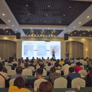 ���С����rģ��80����ٍ240�f��