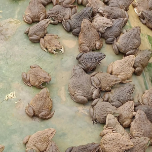 ���ܡ������p�؊A�����܃r���1-2Ԫ/�� | 2021��7��11�����r