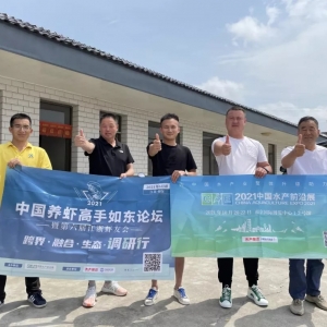 �B(y��ng)�r�ИI(y��)ӭ�����rѪҺ�����ϽY(ji��)�϶����Ƅ�(d��ng)�a(ch��n)�I(y��)�l(f��)չ