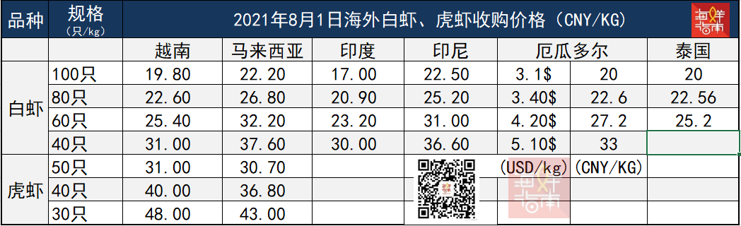 ��һ��ȫ���r�r���󣡸ۿ�������y������r���Sȫ�T�ӷN���磡