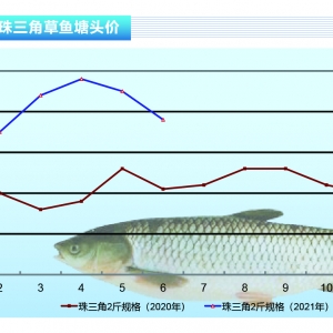 ���~�����~���У����~ȱ؛������ֹ����ů������ˮ�a(ch��n)ǰ�ء�2021��7�¿��Ј�څ��