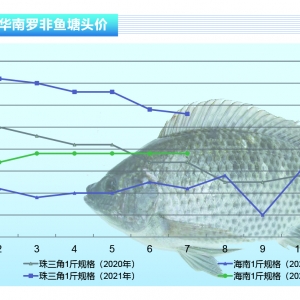 �_���~�����~���Еr�g��ɢ���r�񲨄��l��������ˮ�aǰ�ء�2021��8�¿��Ј�څ��