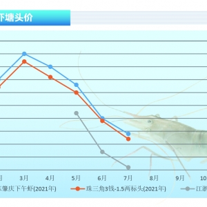 �_�����r���µ����ů����Ҏ���_�r���Ј���A������ˮ�aǰ�ء�2021��8�¿��Ј�څ��