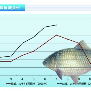 �a�~(y��)��4-5�����~(y��)���У�������δ���^��Ӱ푡�����ˮ�a(ch��n)ǰ�ء�2021��8�¿��Ј�(ch��ng)څ��(sh��)